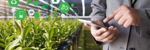 Nube, IA y WhasApp para revolucionar la agricultura